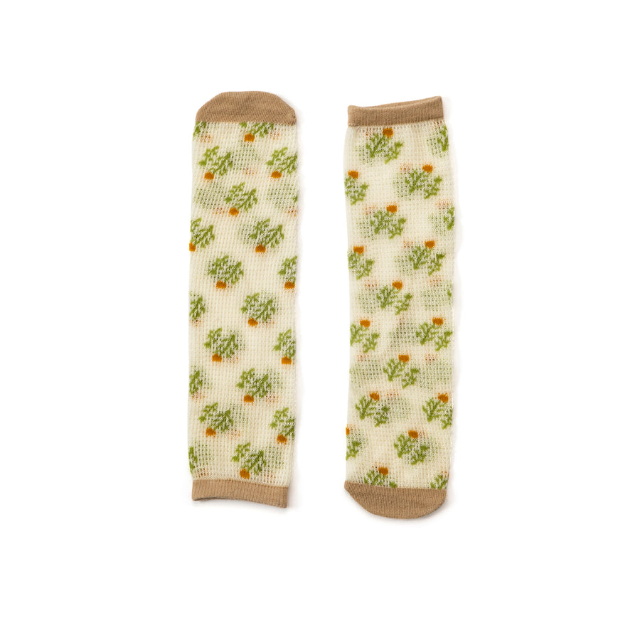 Mesh Socks